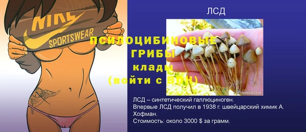 мдпв Арсеньев