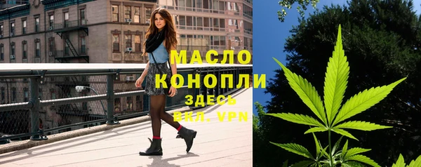 гидра Каменка