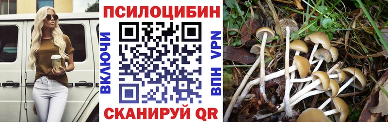 Галлюциногенные грибы Psilocybine cubensis продажа наркотиков гидра как зайти Новый Уренгой